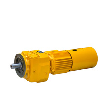 non-standard ratio RF77 vertical mounted helical in line transmission gearbox motor reducer